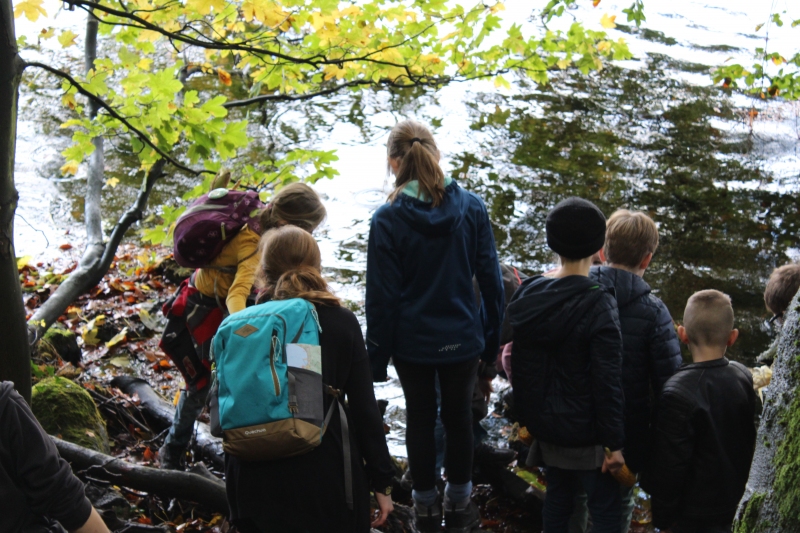 Herbstkracher - Kinderfreizeit in der Eifel