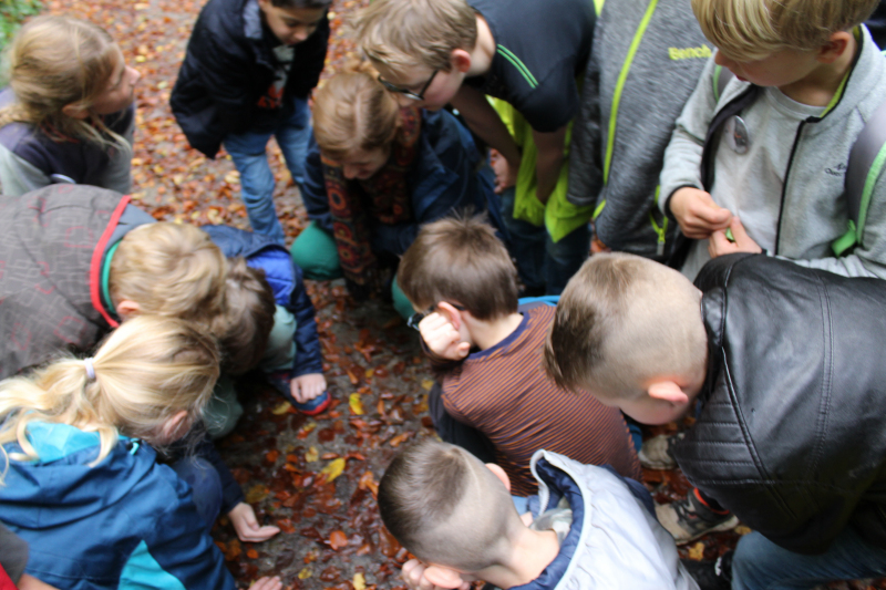 Herbstkracher - Kinderfreizeit in der Eifel