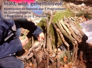 wald2